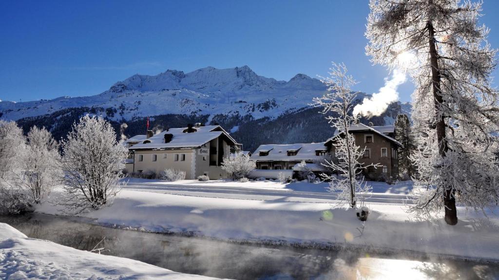 Hotel Chesa Grischa Sils Baselgia Zewnętrze zdjęcie